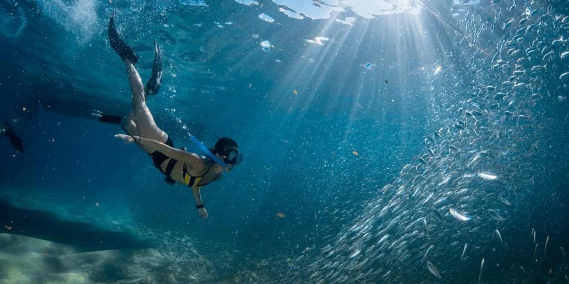 Freediver swimming underwater surrounded by school of small fish with sunlight filtering through the surface