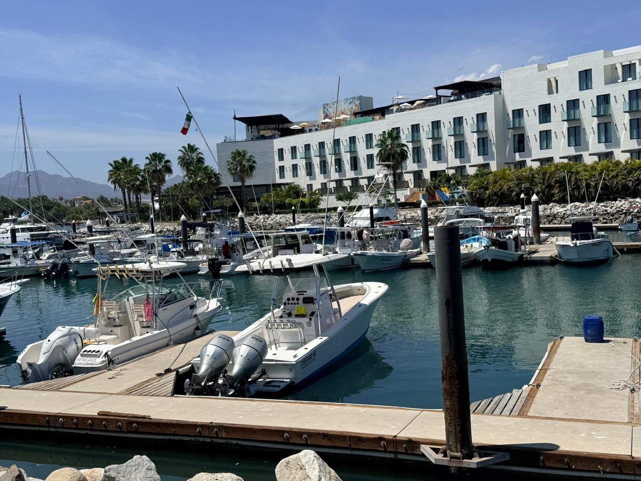 Marina with white boats docked at wooden pier, modern white waterfront building and palm trees in background under blue sky